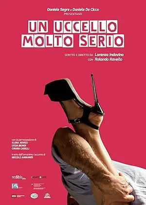 Un Uccello Molto Serio (2014)