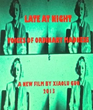 Late At Night: Voices Of Ordinary Madness (2013)