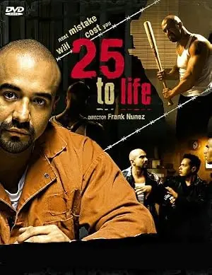 25 To Life (2008)