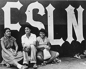 Fire From The Mountain (1987)