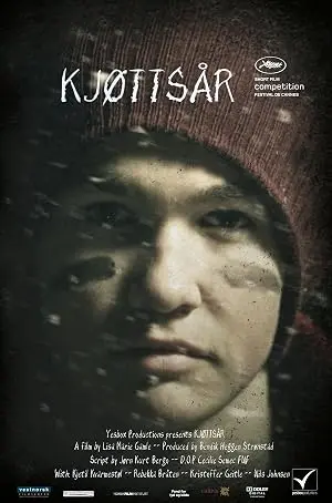 Kjottsar (2011)