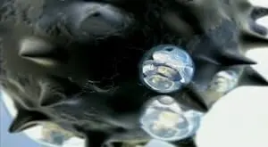 Global Dimming (2005)