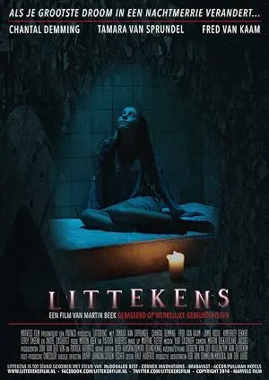 Littekens (2013)