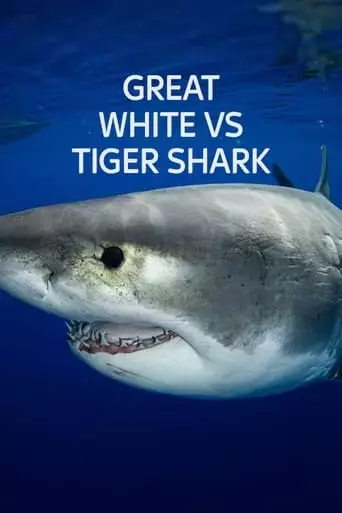 Great White Vs Tiger Shark (2022)