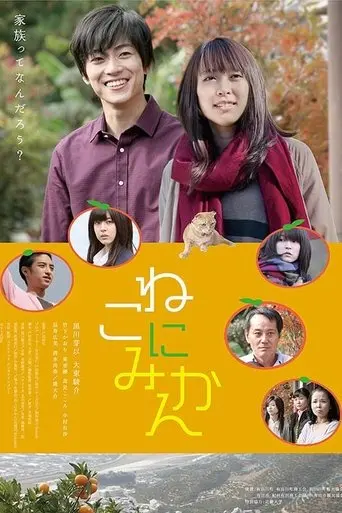 Tangerines on Cat (2014)