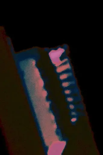 Bitrate Memories (2026)