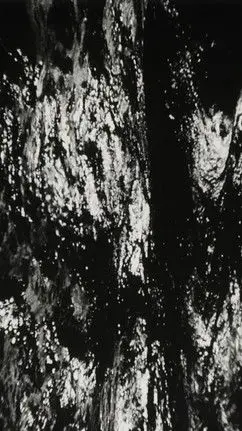 Bitemporal Vision: The Sea (1994)