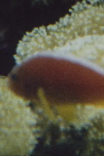Für D. (2009)