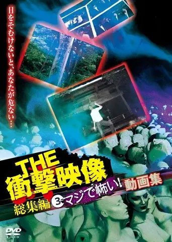 THE Shōgeki Eizō Sōshūhen (3) Maji de Kowai! Dōga-shū (2012)