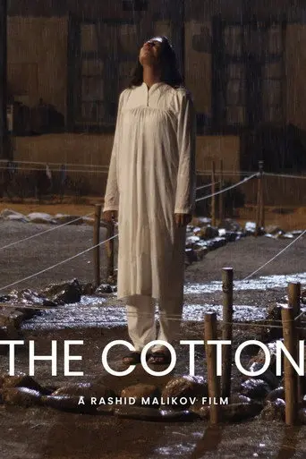 Cotton (2025)