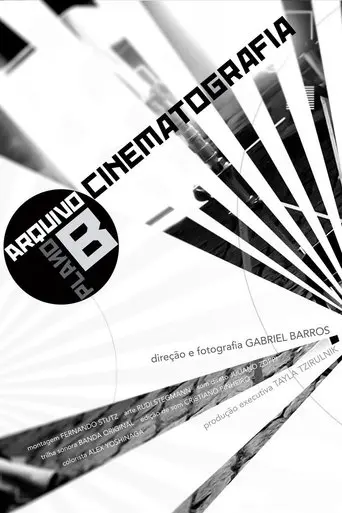 Cinematography (2008)