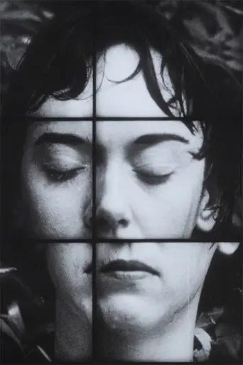 A Temporary Arrangement (1995)
