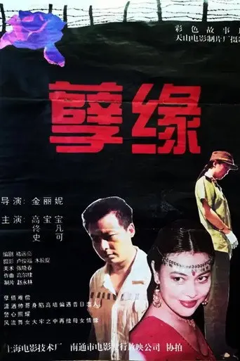 孽缘 (1995)
