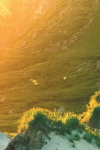 El Sueño de una cosa (2002)