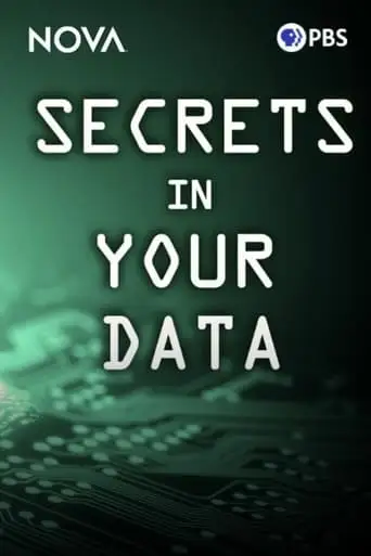 Secrets In Your Data (2024)