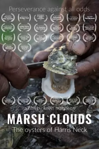 Marsh Clouds: The Oysters Of Harris Neck (2022)