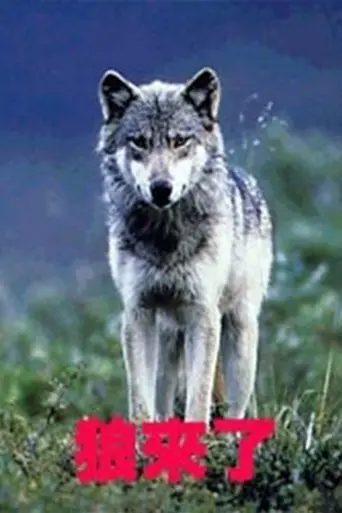狼来了 (2010)