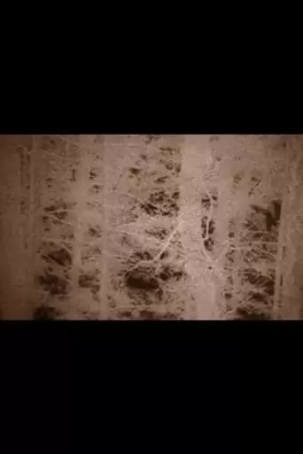 The Hollow Mountain (2022)