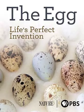 The Egg: Life's Perfect Invention (2019)