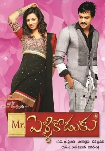 Mr.PelliKoduku (2013)