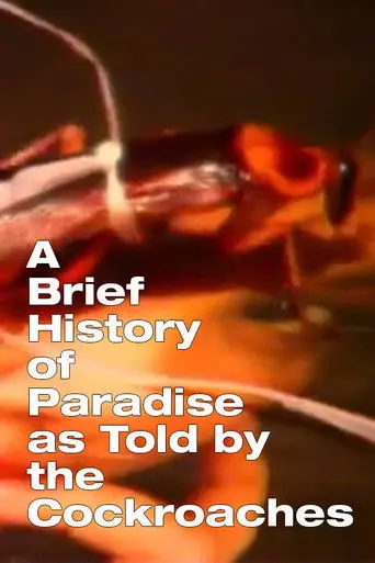A Brief History of Paradise as Told by the Cockroaches (2003)