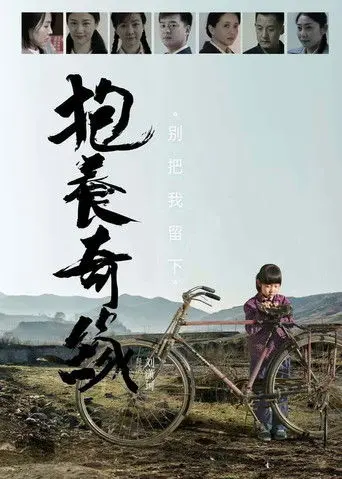 抱养奇缘 (2015)