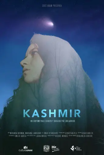 Kashmir (2018)