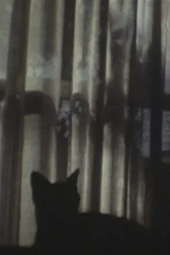 CAT ＆ CURTAIN (1995)