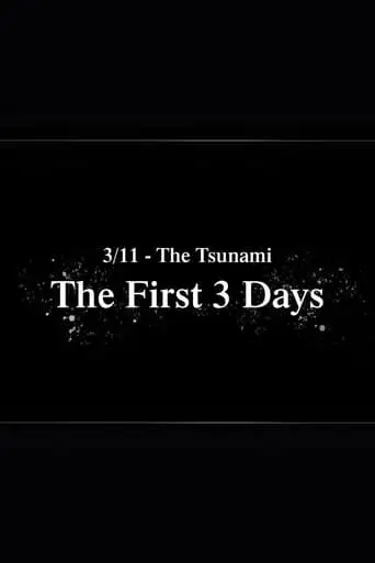 3/11-The Tsunami: The First 3 Days (2021)