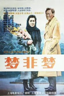 梦非梦 (1993)