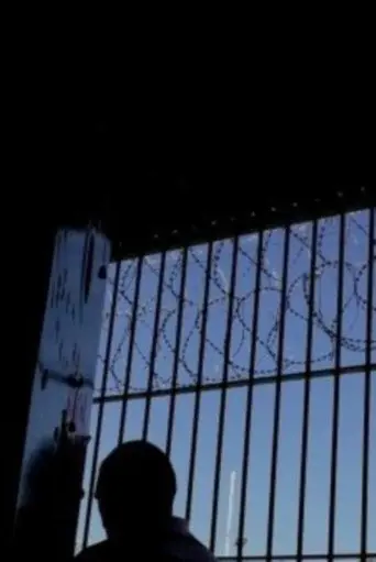 Shots from Outside (2020)