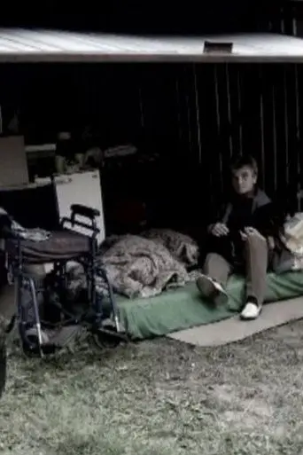 Shell (2008)