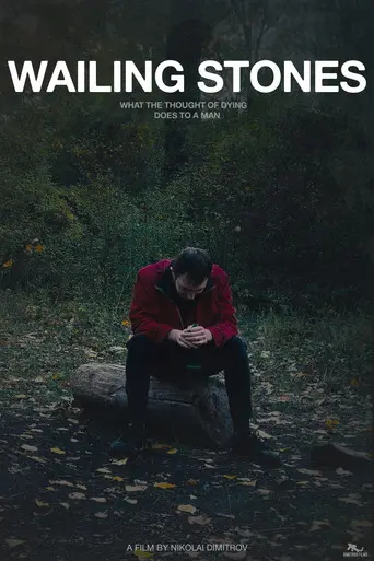 Wailing Stones (2025)