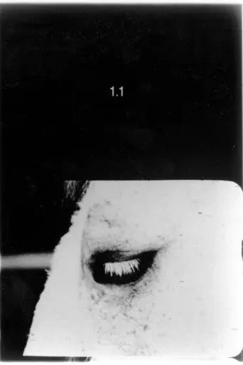 Pocket Cinema - The Catalogue (1996)