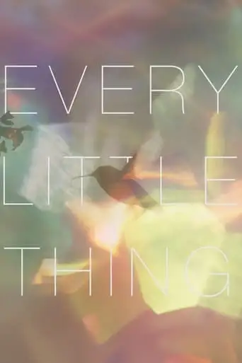 Every Little Thing (2025)
