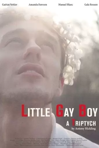 Little Gay Boy (2013)