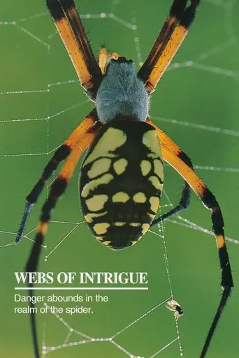 Webs of Intrigue (1992)