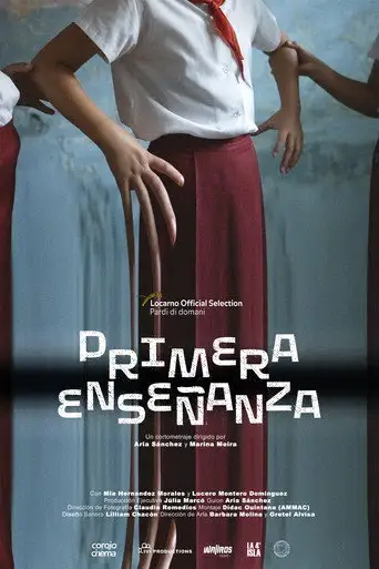Primary Education (2025)