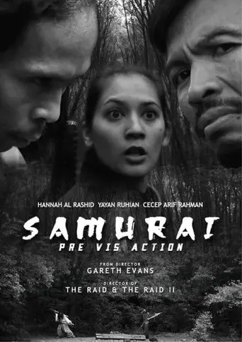 Pre Vis Action (2016)