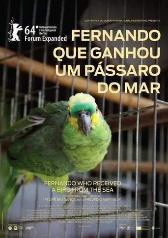 Fernando Who Received a Bird from the Sea (2014)