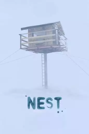 Nest (2022)