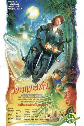 วิมานมะพร้าว (1991)