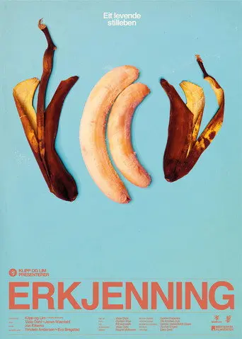 Erkjenning (2011)