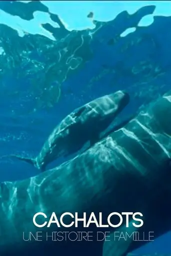 Cachalots, une histoire de famille (2021)