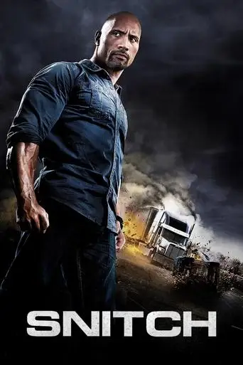 Snitch (2013)