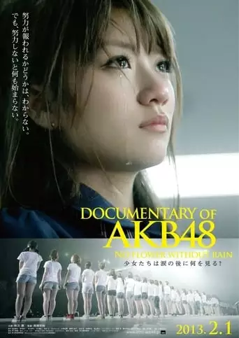 Documentary Of AKB48: No Flower Without Rain (2013)