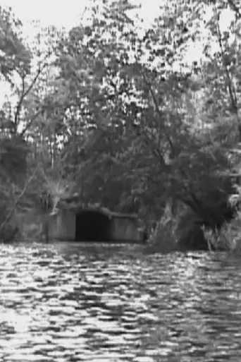 The Name is not the Thing named (2010)