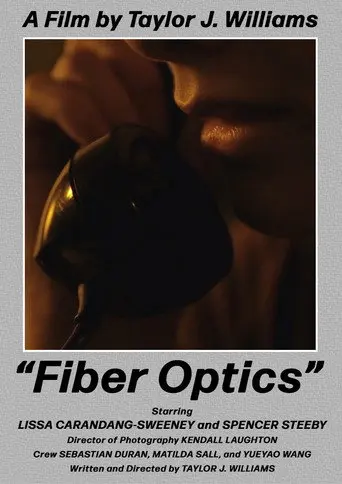 Fiber Optics (2022)