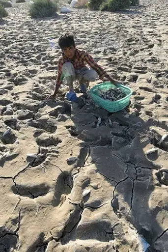 Water dam, Soil dam (2017)