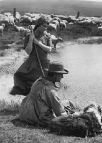 Tansy (1921)